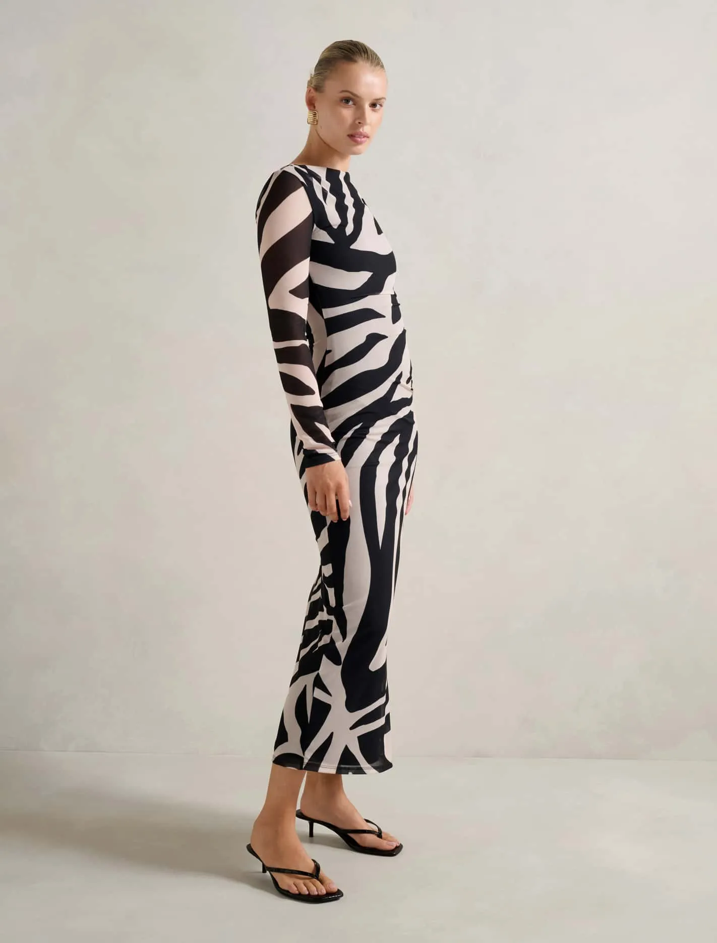 Alannah Mesh Long Sleeve Midi Dress
