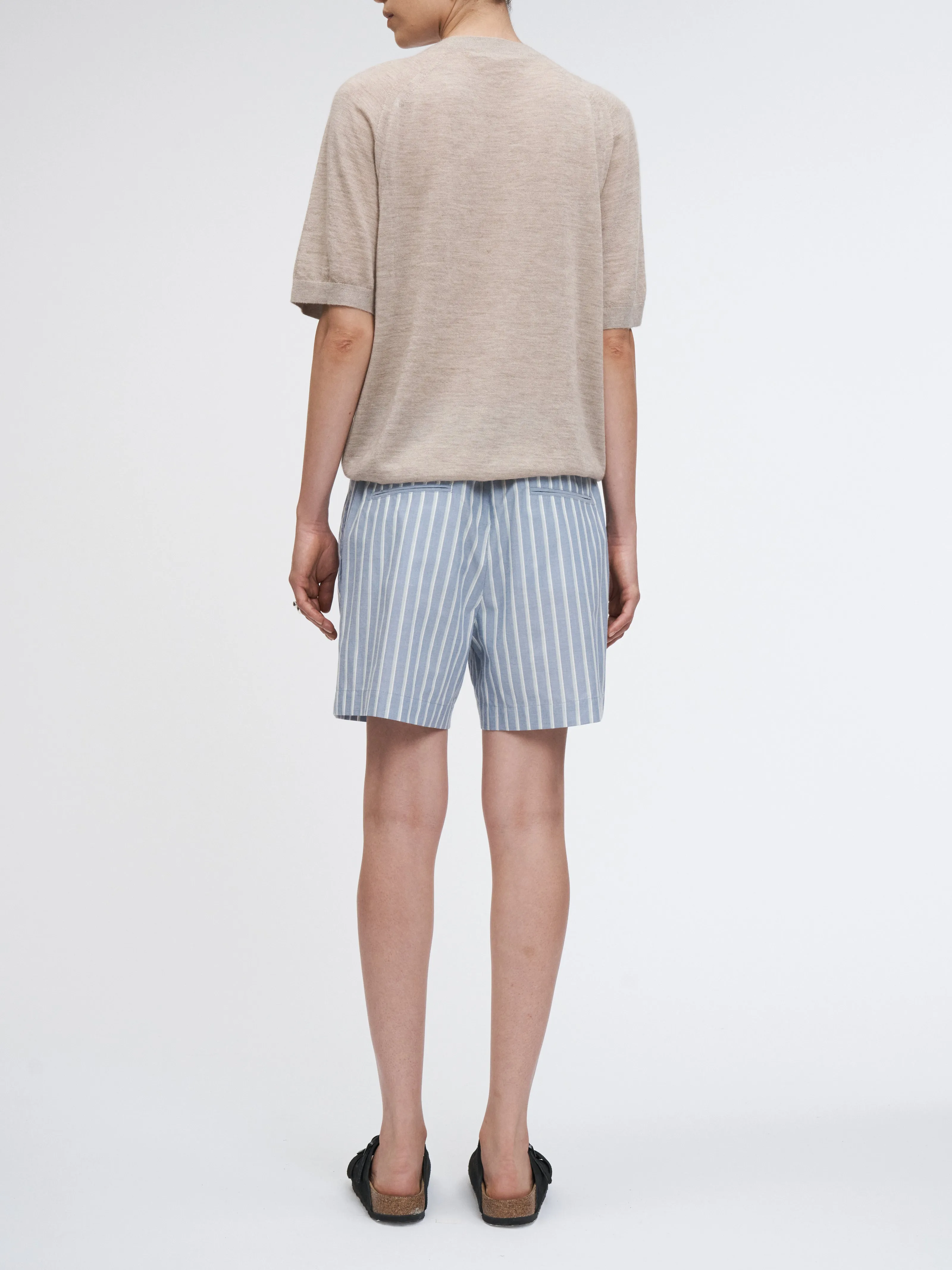 Drawstring Pleat Front Short in Denim Mint Stripe