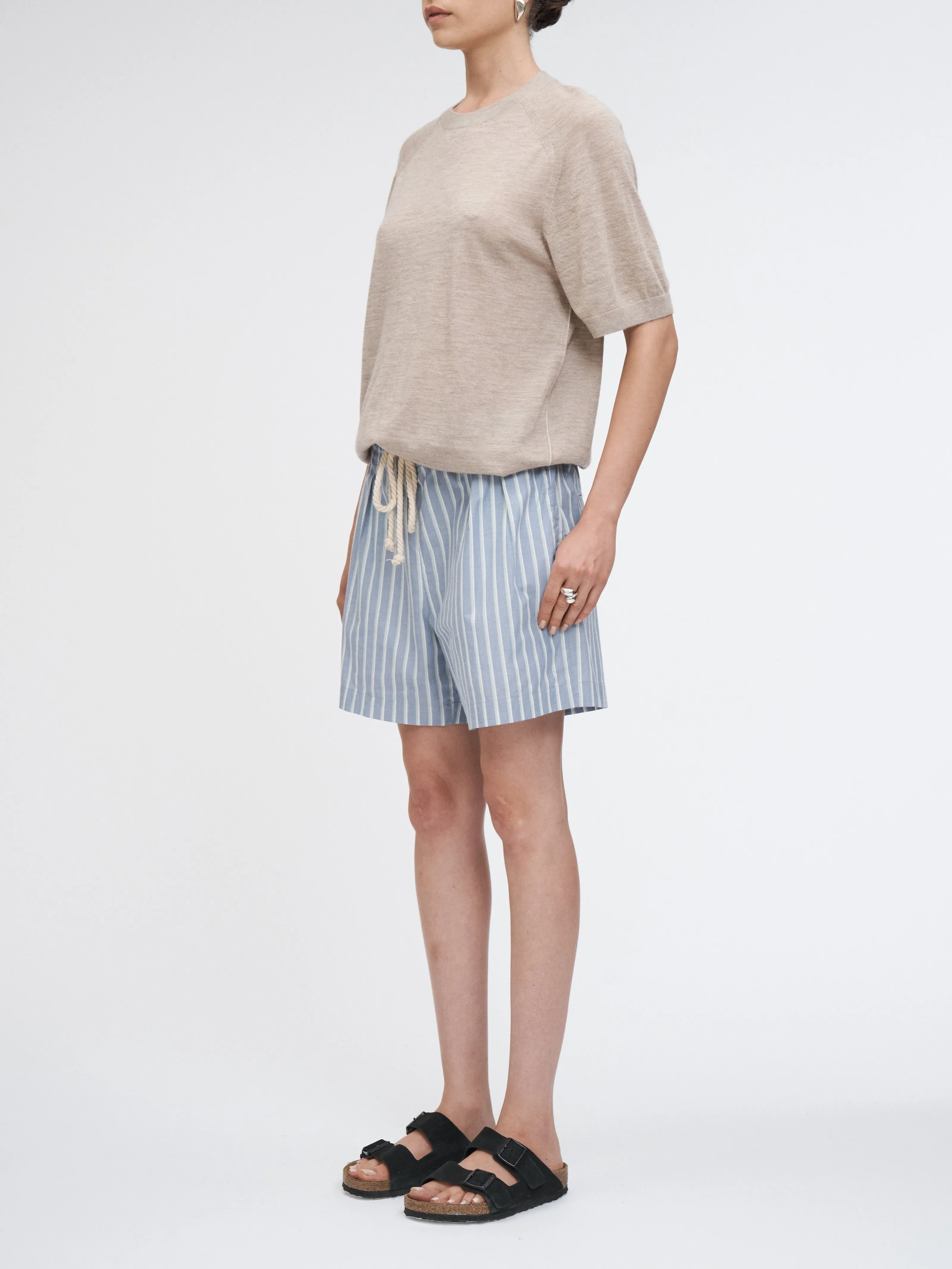 Drawstring Pleat Front Short in Denim Mint Stripe