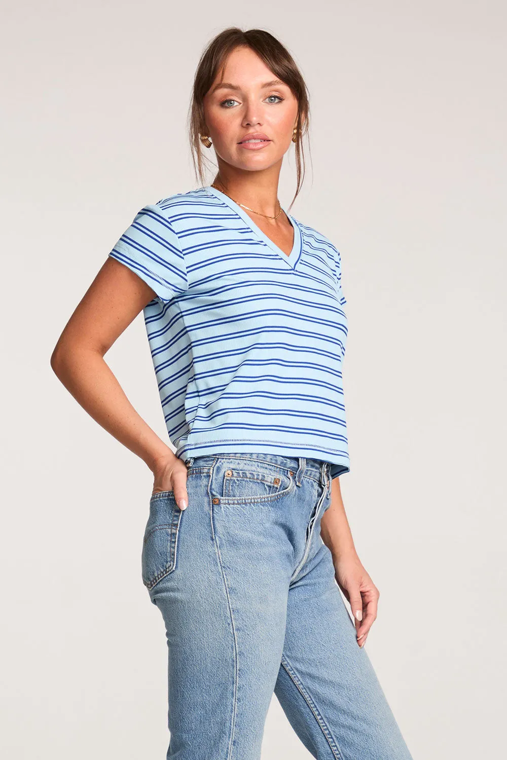 Gator Amalfi Blue Stripe V Neck Tee