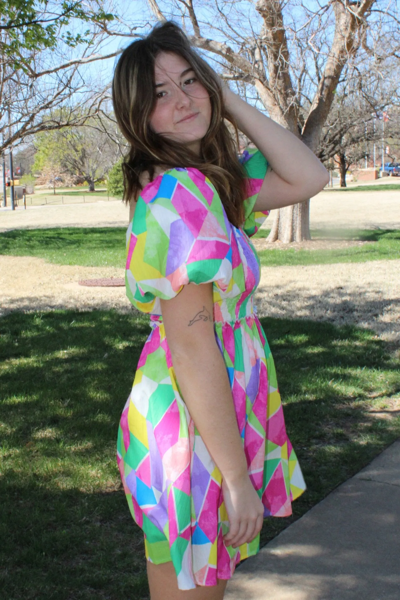 Geo Brushed Dress