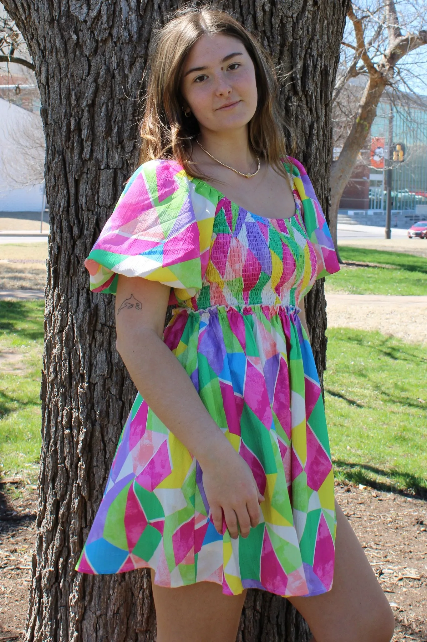 Geo Brushed Dress