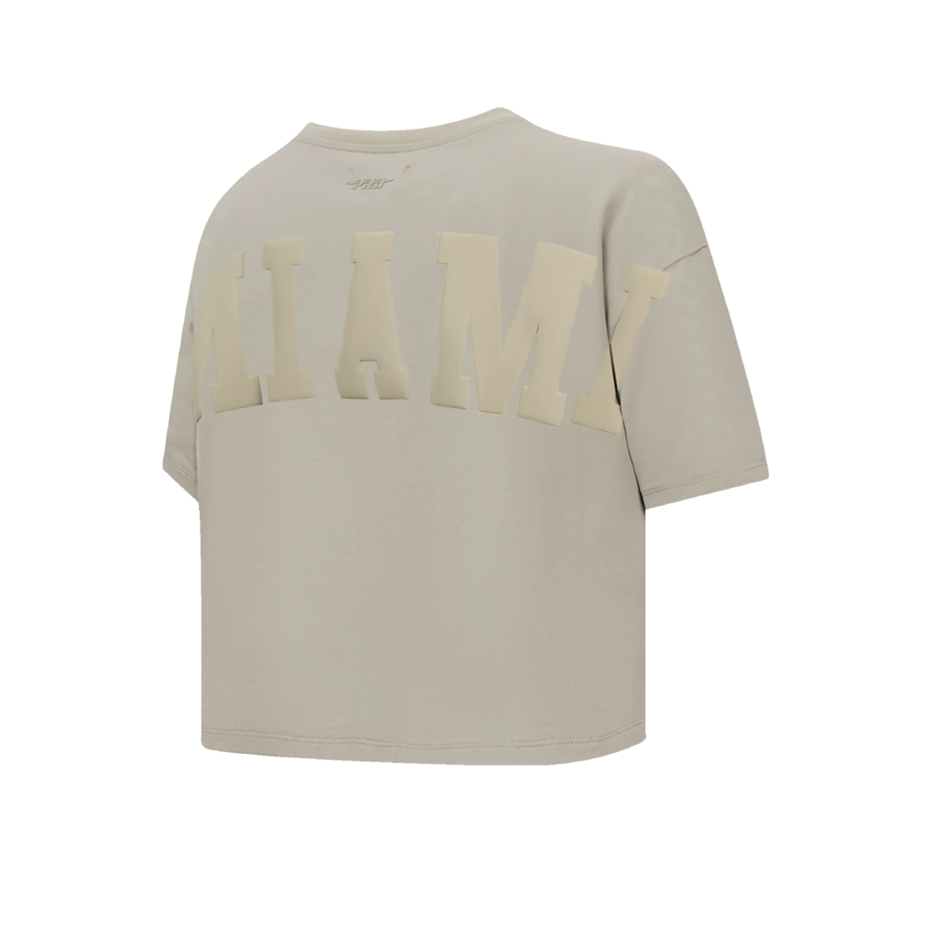 Pro Standard Miami HEAT Boxy Wingspan Women's Crop Tee