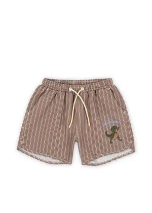 seer ansou swim shorts | tigers eye