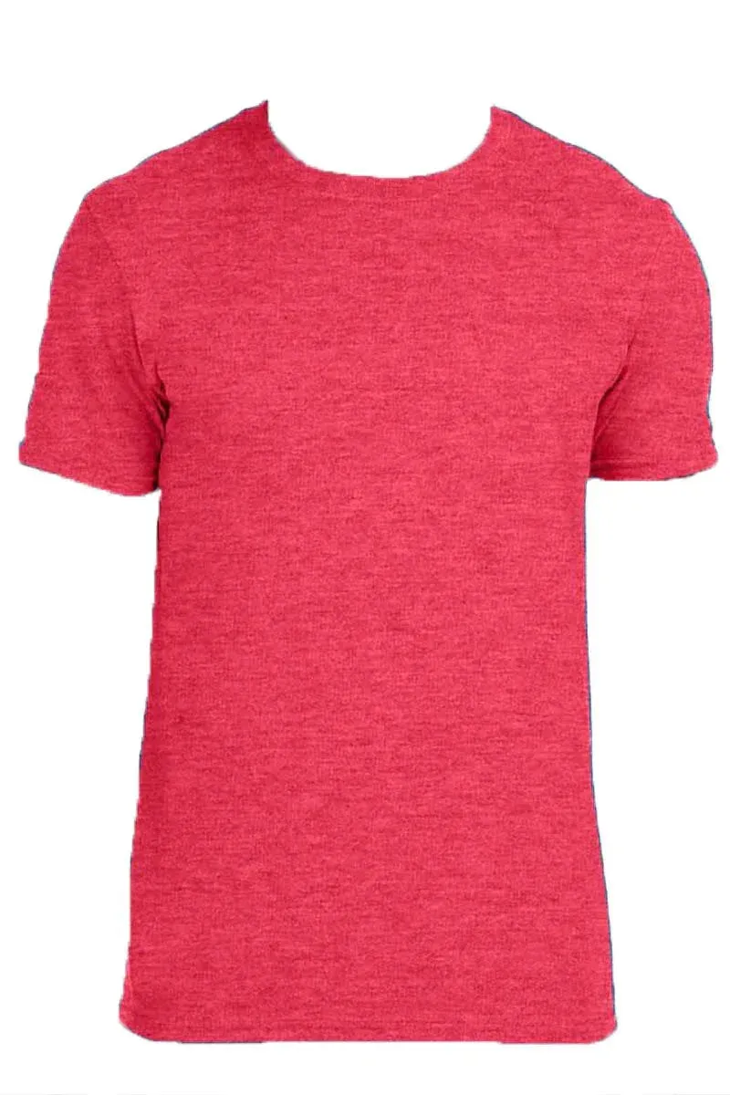 Stadium Lions Softstyle Adult T-Shirt